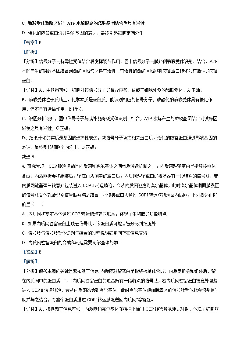辽宁省实验中学2024-2025学年高三上学期期中考试生物试题 Word版含解析第3页