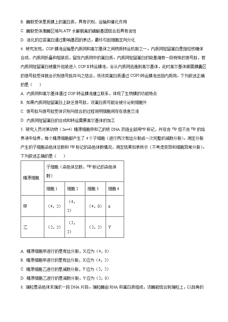 辽宁省实验中学2024-2025学年高三上学期期中考试生物试题 Word版无答案第2页