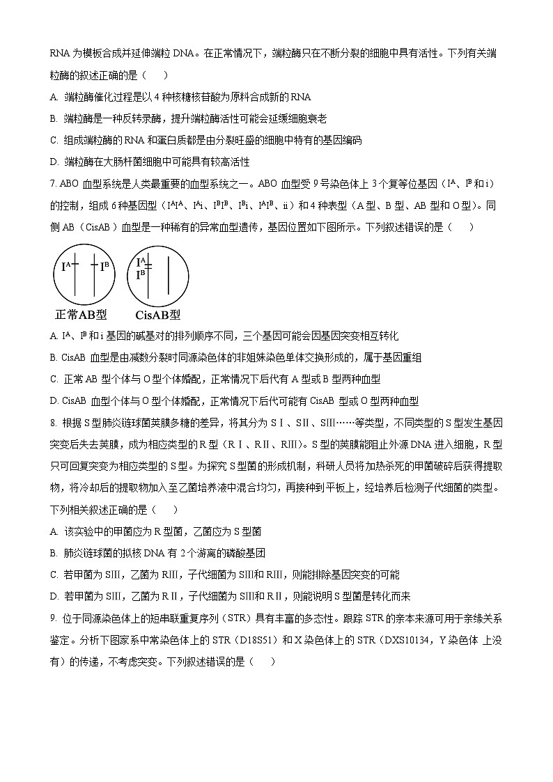 辽宁省实验中学2024-2025学年高三上学期期中考试生物试题 Word版无答案第3页