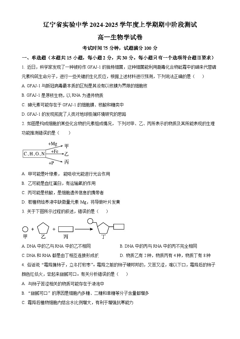 辽宁省实验中学2024-2025学年高一上学期期中考试生物试题 Word版无答案第1页