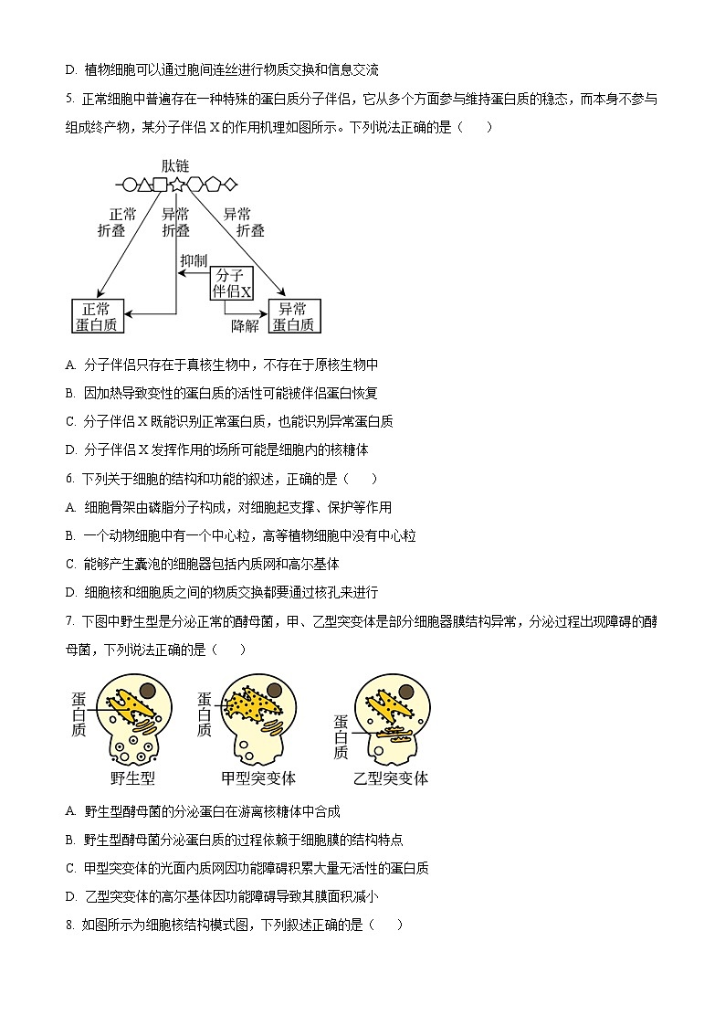 辽宁省实验中学2024-2025学年高一上学期期中考试生物试题 Word版无答案第2页