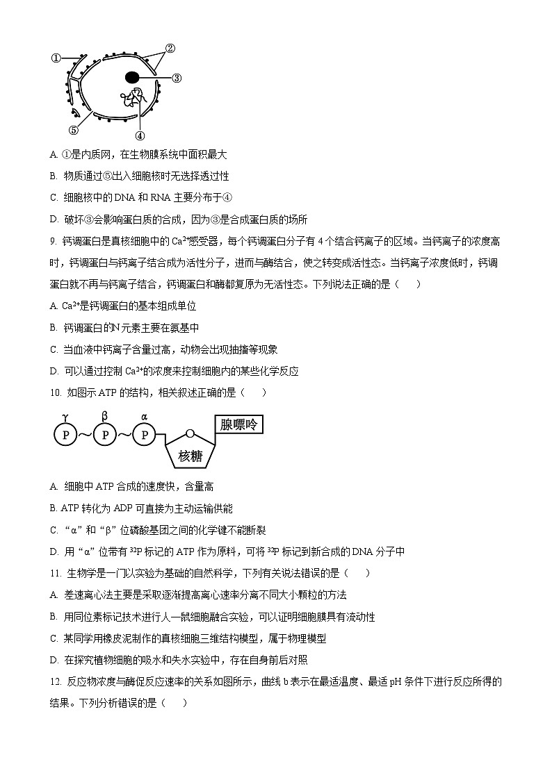 辽宁省实验中学2024-2025学年高一上学期期中考试生物试题 Word版无答案第3页