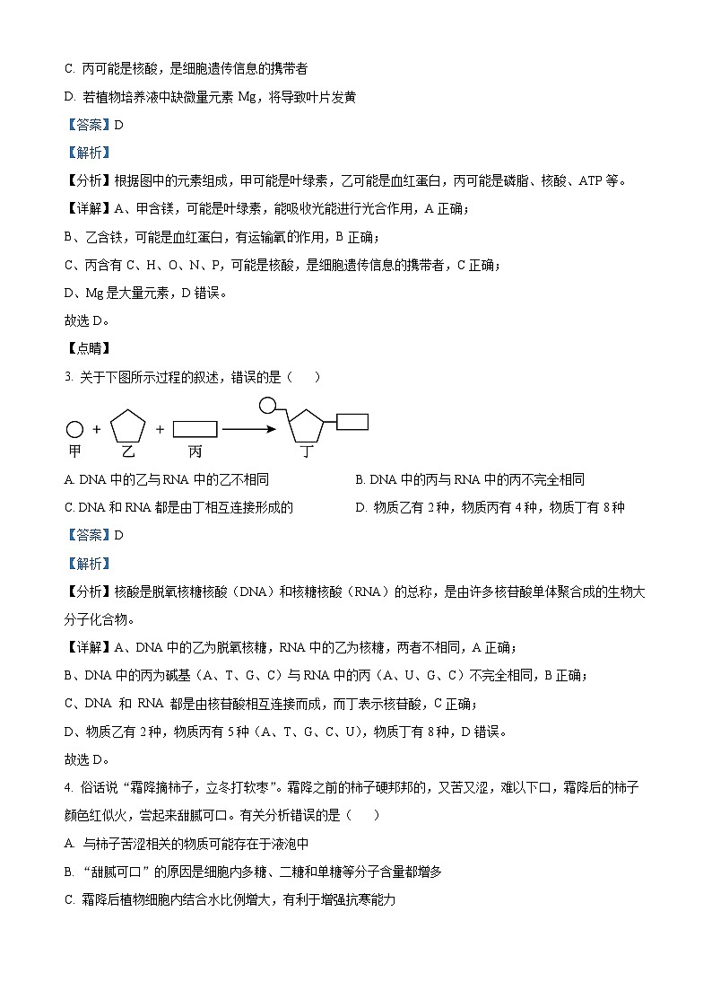 辽宁省实验中学2024-2025学年高一上学期期中考试生物试题 Word版含解析第2页