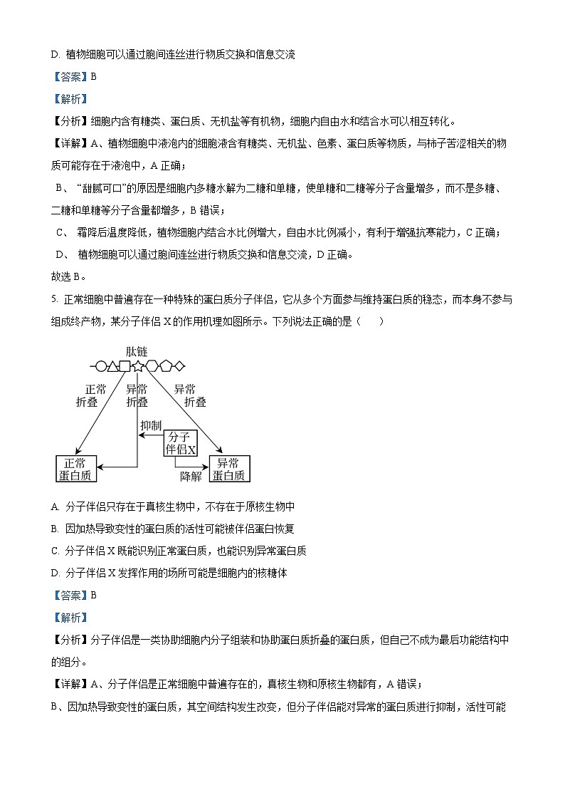 辽宁省实验中学2024-2025学年高一上学期期中考试生物试题 Word版含解析第3页
