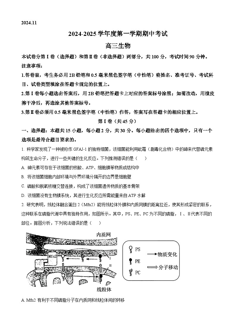 山东省青岛市2024-2025学年高三上学期11月期中生物试题  Word版无答案第1页