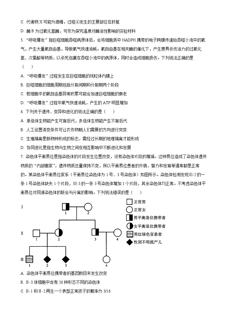 山东省青岛市2024-2025学年高三上学期11月期中生物试题  Word版无答案第3页
