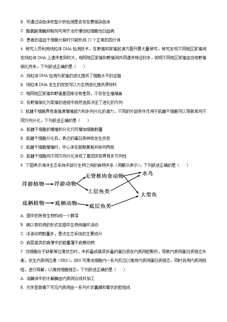 浙江省安吉高级中学2024-2025学年高三上学期选考模拟考试生物试卷 Word版无答案第2页