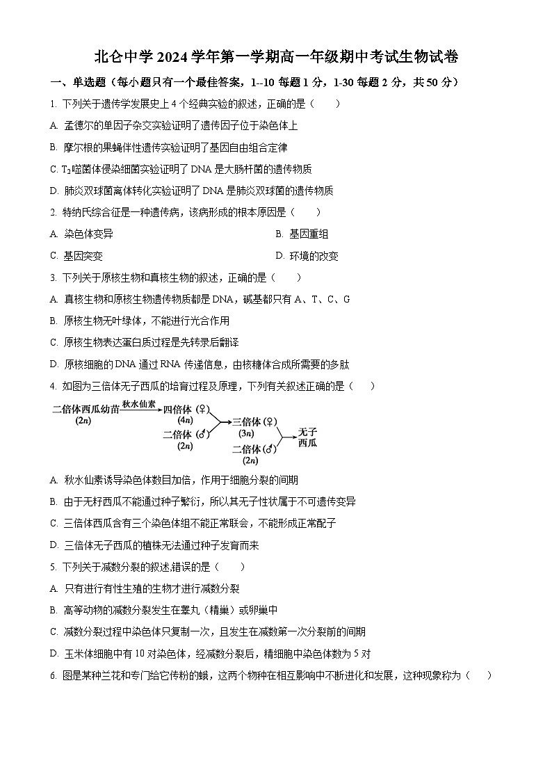 浙江省宁波市北仑中学2024-2025学年高一上学期期中考试101班生物试题 Word版无答案第1页