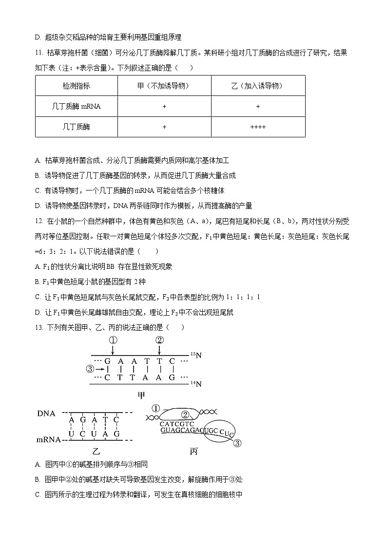 浙江省宁波市北仑中学2024-2025学年高一上学期期中考试101班生物试题 Word版无答案第3页