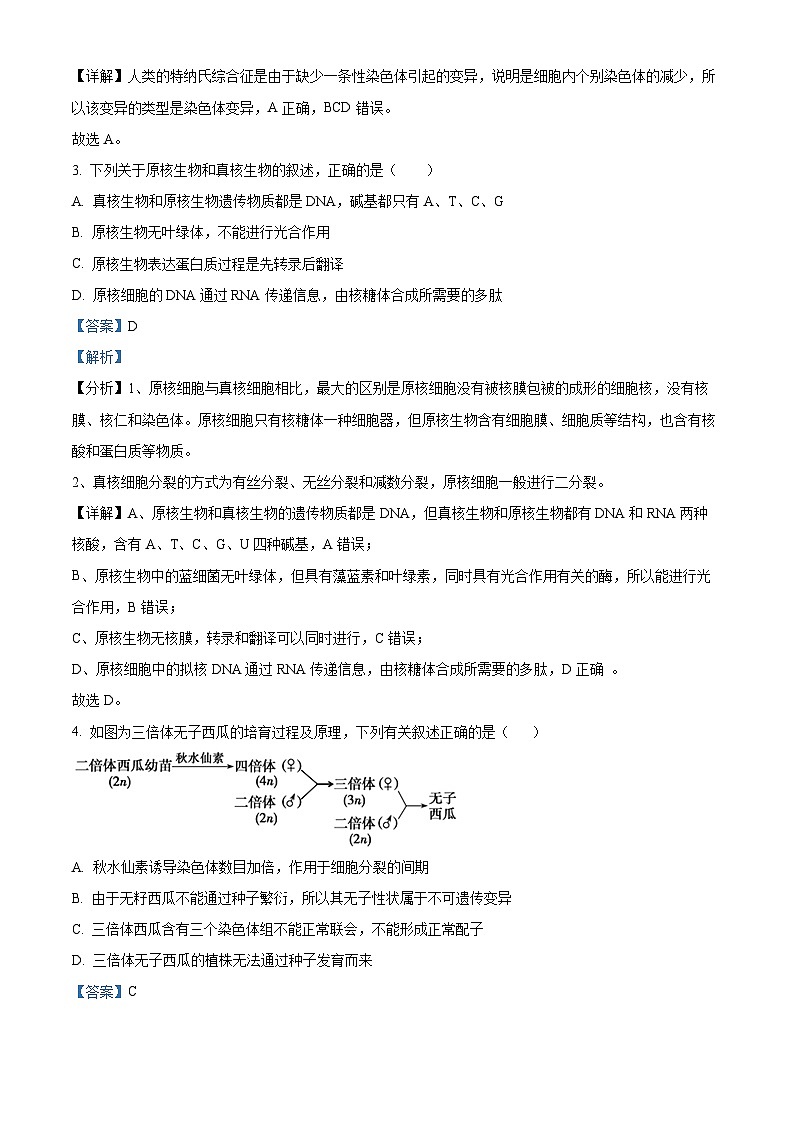 浙江省宁波市北仑中学2024-2025学年高一上学期期中考试101班生物试题 Word版含解析第2页