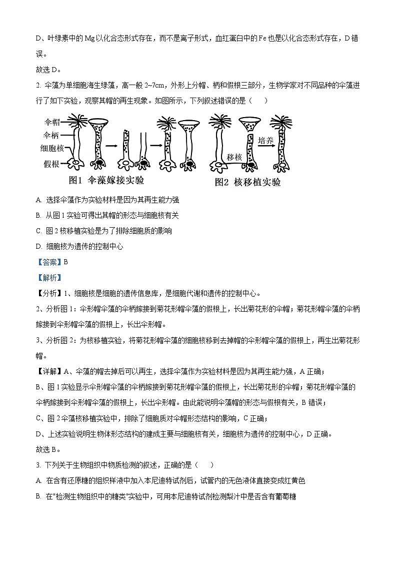 浙江省温州市环大罗山联盟2024-2025学年高一上学期期中考试生物学科试题 Word版含解析第2页
