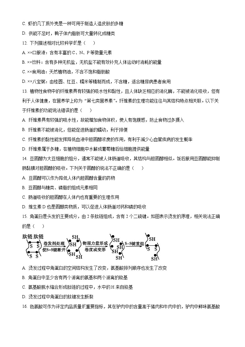黑龙江省大庆铁人中学2024-2025学年高一上学期第一次月考生物试卷 Word版无答案第3页