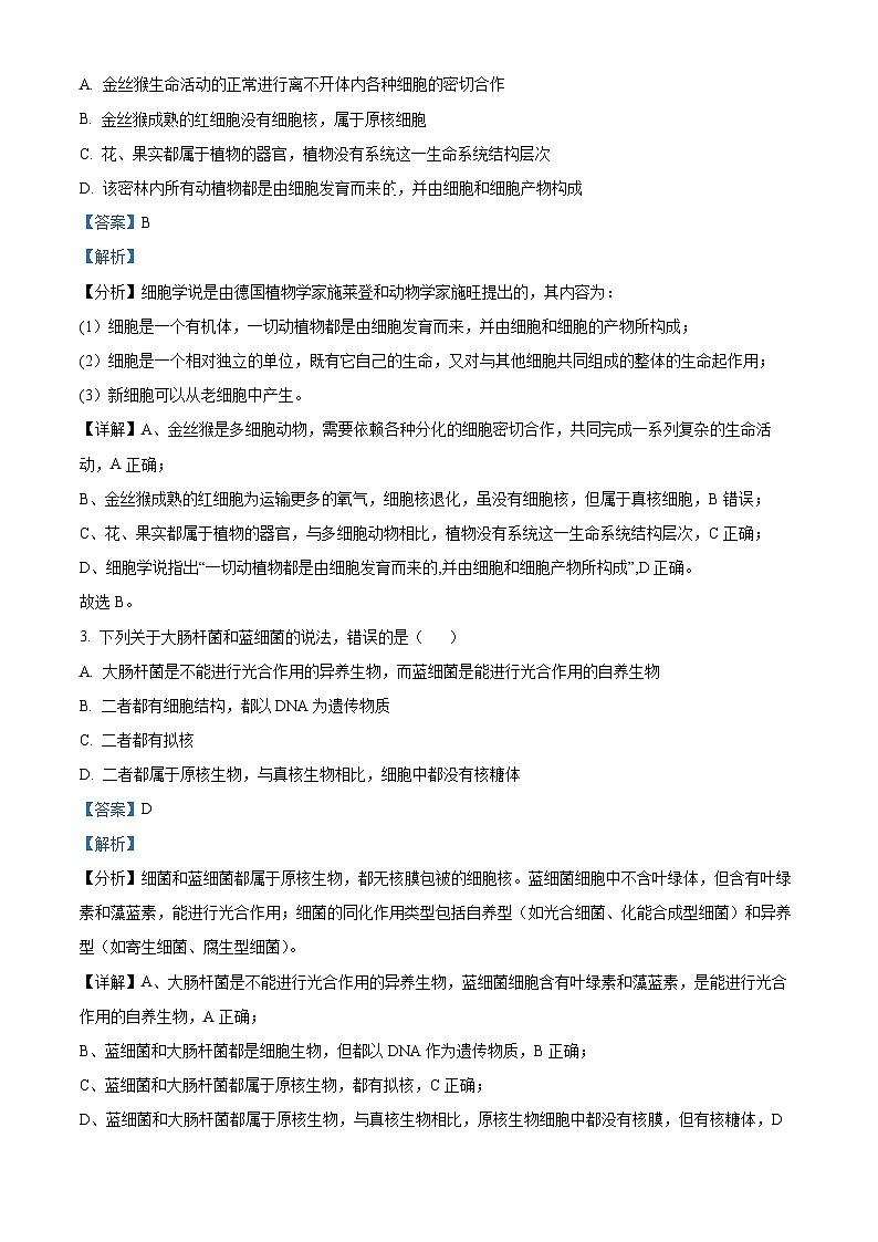 黑龙江省大庆铁人中学2024-2025学年高一上学期第一次月考生物试卷 Word版含解析第2页