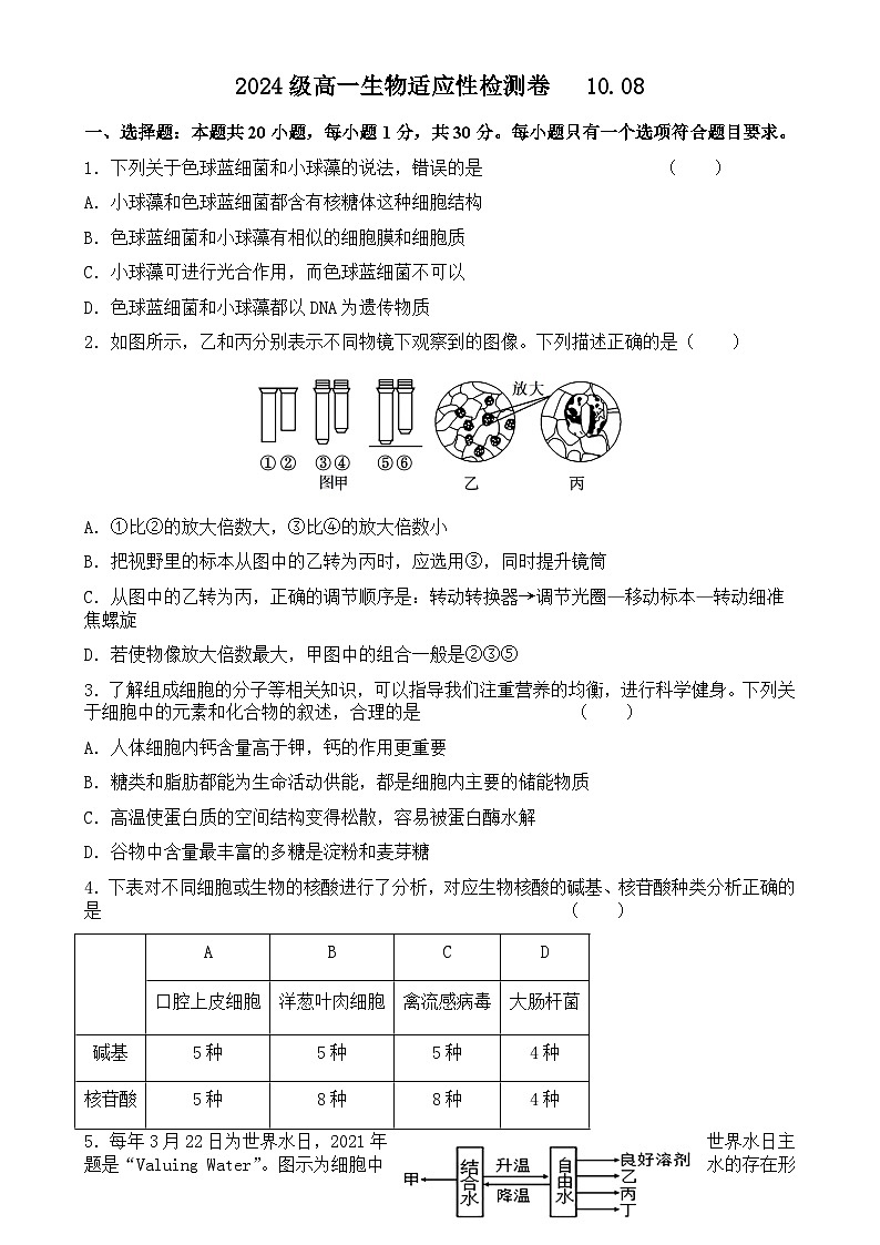 山东省济南市章丘第四中学2024-2025学年高一上学期10月月考生物试题-A4第1页