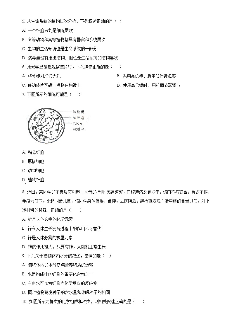 新疆维吾尔自治区喀什地区英吉沙县2024-2025学年高一上学期11月期中生物试题（原卷版）-A4第2页
