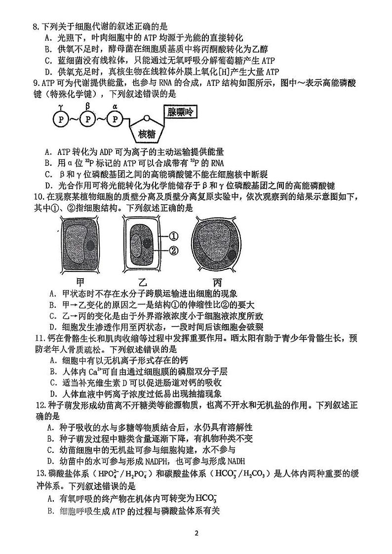 辽宁省大连市24中2024-2025年高一上学期第二次月考生物试题第2页