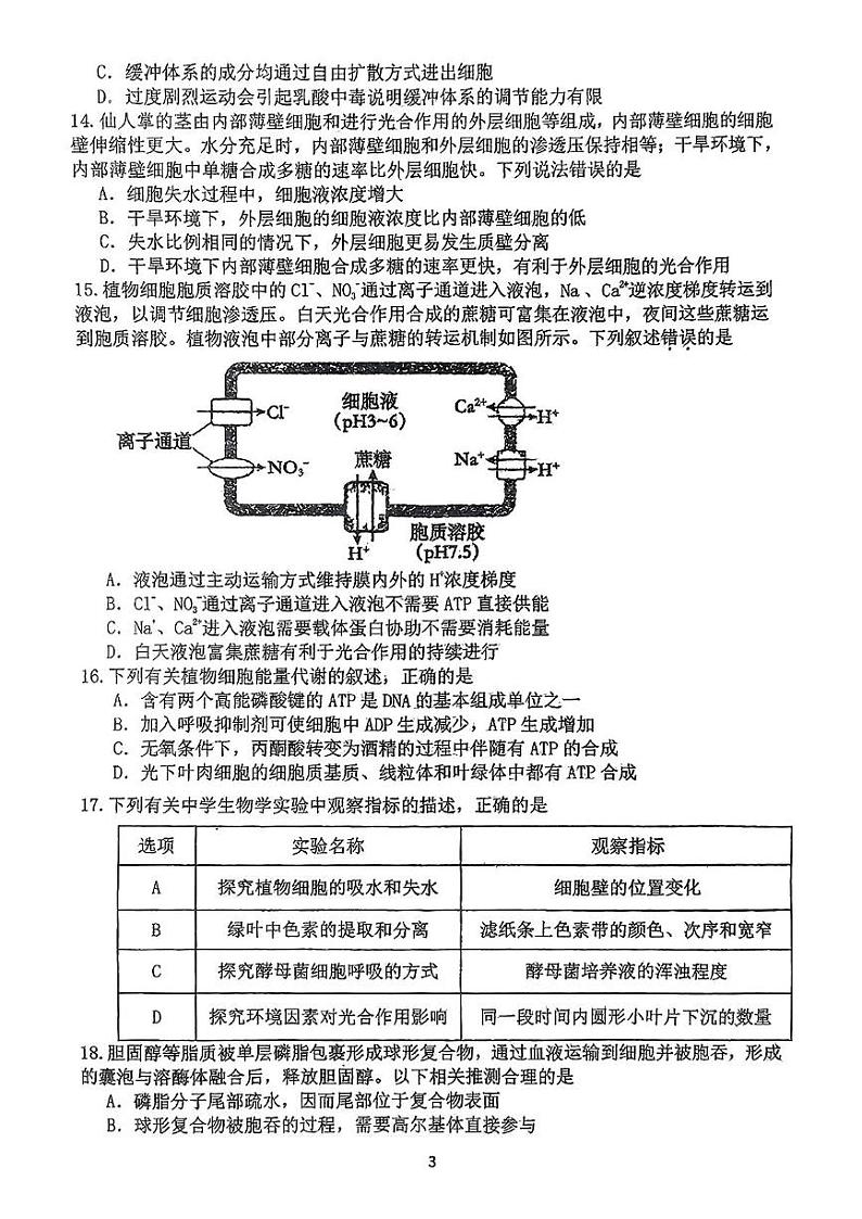 辽宁省大连市24中2024-2025年高一上学期第二次月考生物试题第3页