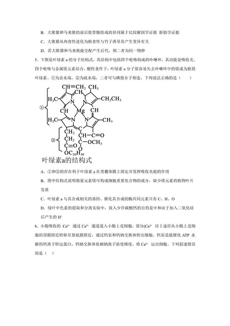 2024～2025学年辽宁省沈阳市东北育才高中高三(上)第三次模拟考试生物试卷(含答案)第2页