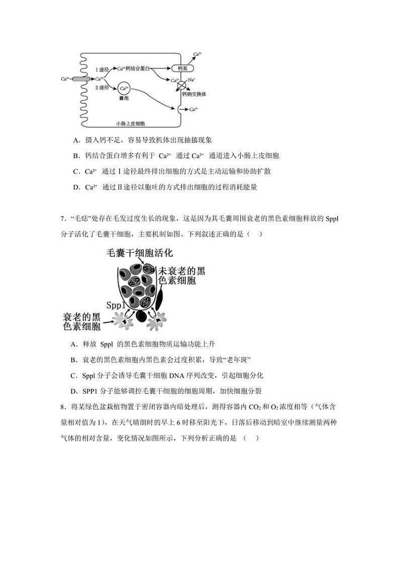 2024～2025学年辽宁省沈阳市东北育才高中高三(上)第三次模拟考试生物试卷(含答案)第3页