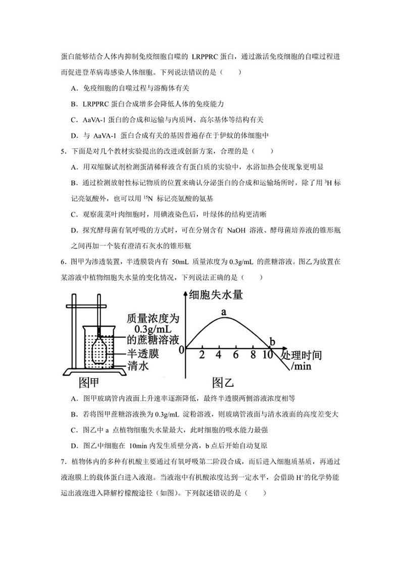 2024～2025学年山东省济宁市邹城市兖矿第一中学高一(上)期末模拟测试生物试卷(一)(含答案)第2页