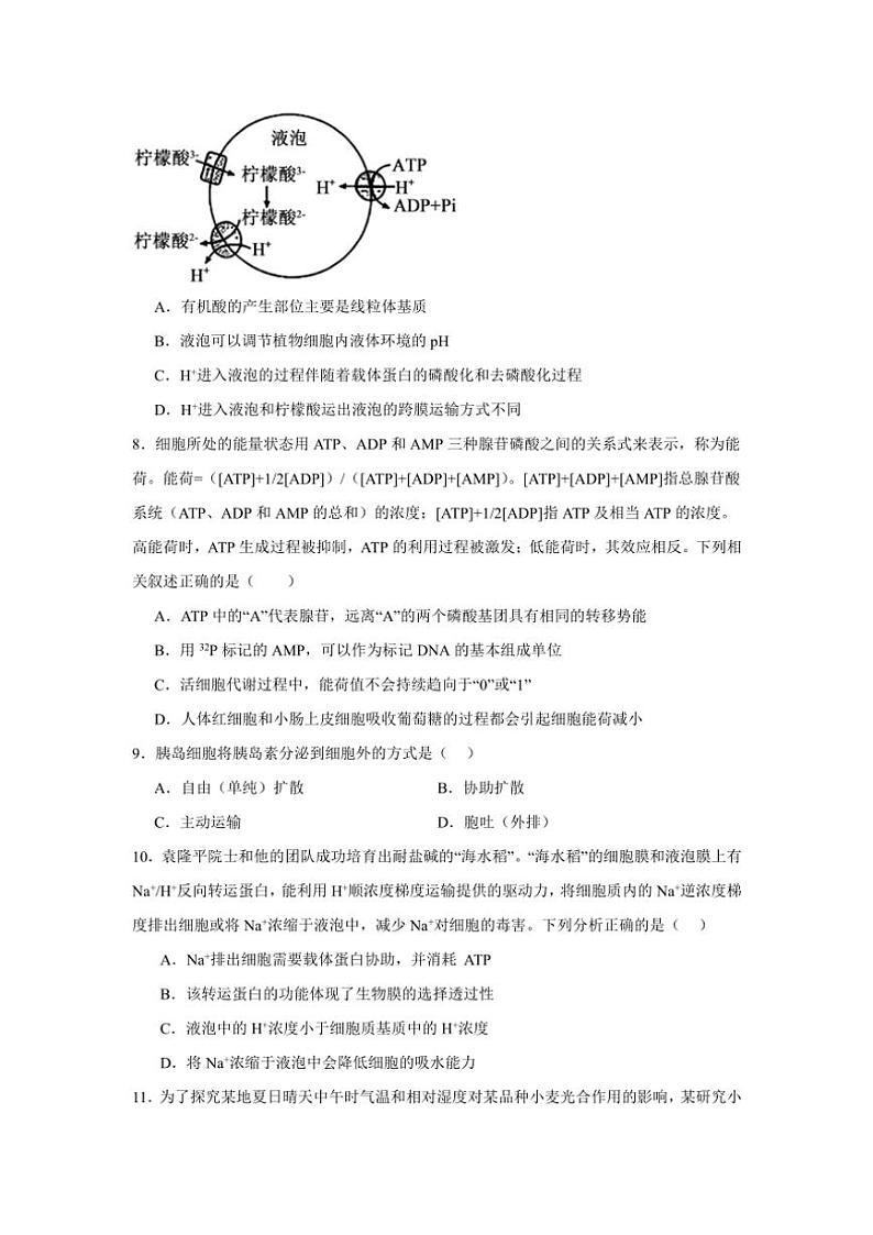 2024～2025学年山东省济宁市邹城市兖矿第一中学高一(上)期末模拟测试生物试卷(一)(含答案)第3页