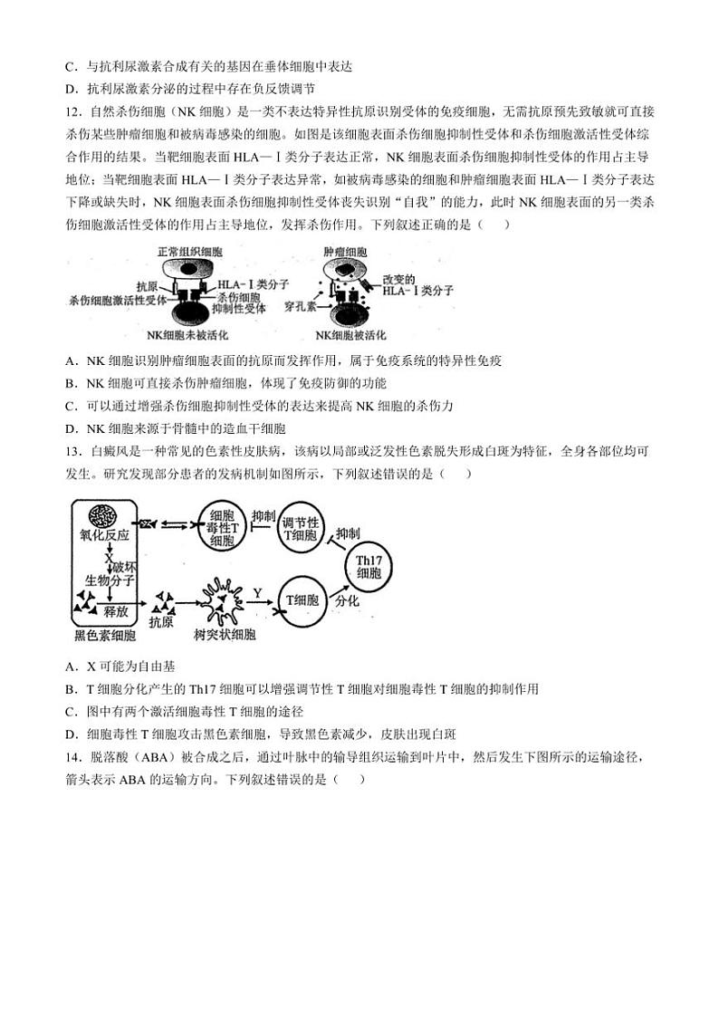 2024～2025学年辽宁省名校联盟高三(上)12月月考生物试卷(含答案)第3页