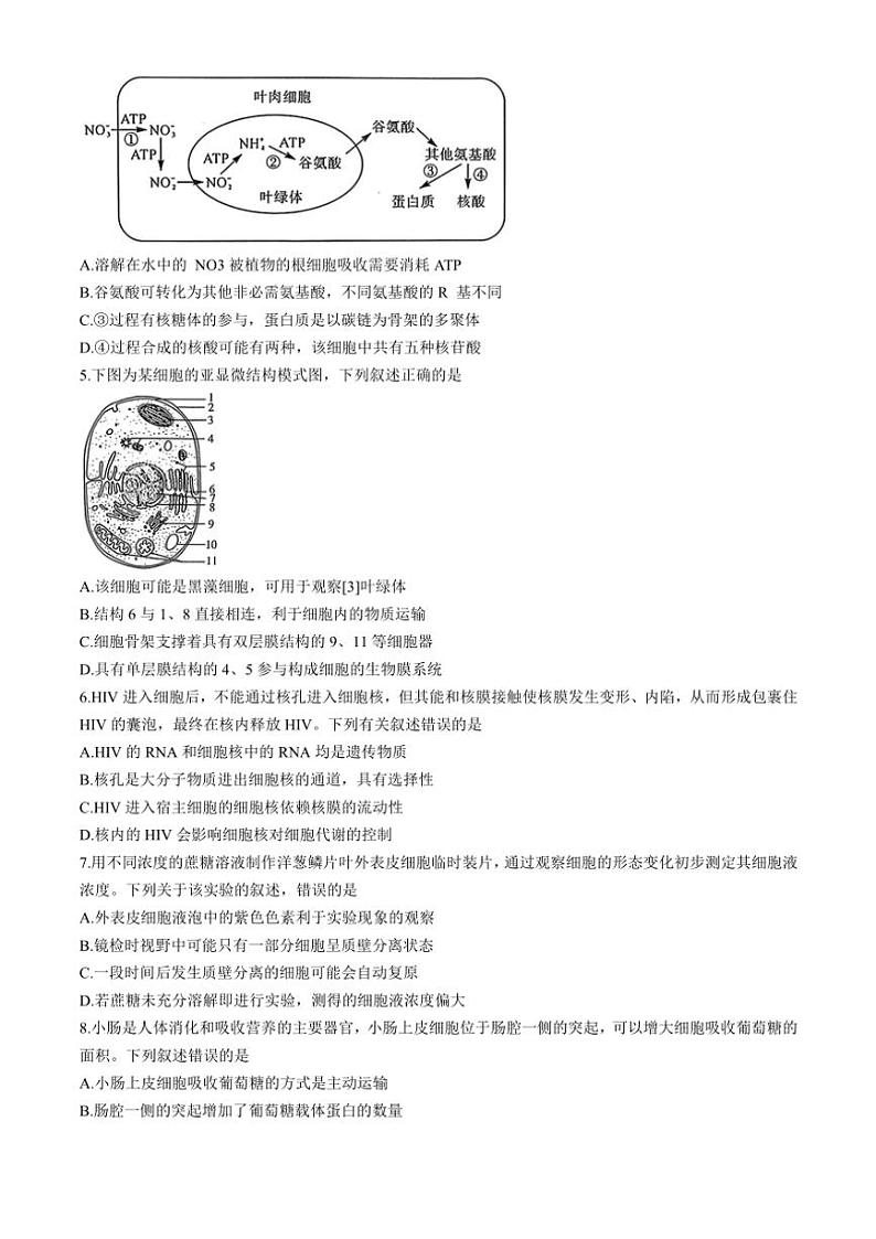 2024～2025学年甘肃省多校高一(上)12月第二次联考(月考)生物试卷(含答案)第2页