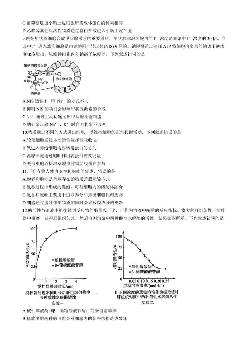 2024～2025学年甘肃省多校高一(上)12月第二次联考(月考)生物试卷(含答案)第3页