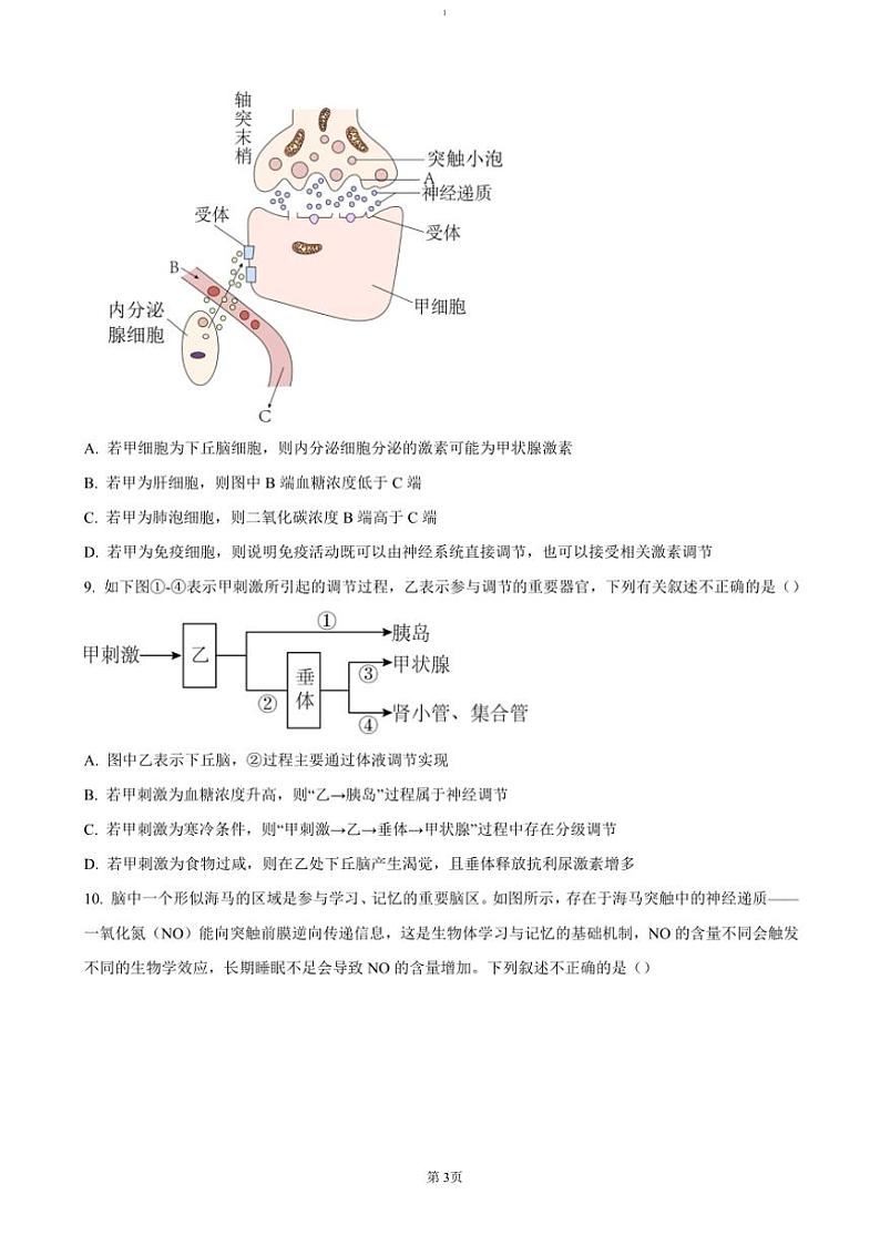 2024～2025学年四川省广安市友谊中学高二(上)期中生物试卷(含答案)第3页