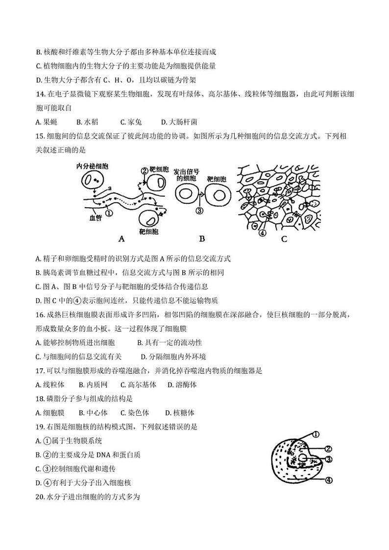 2024～2025学年天津市西青区杨柳青第一中学高一(上)12月月考生物试卷(含答案)第3页