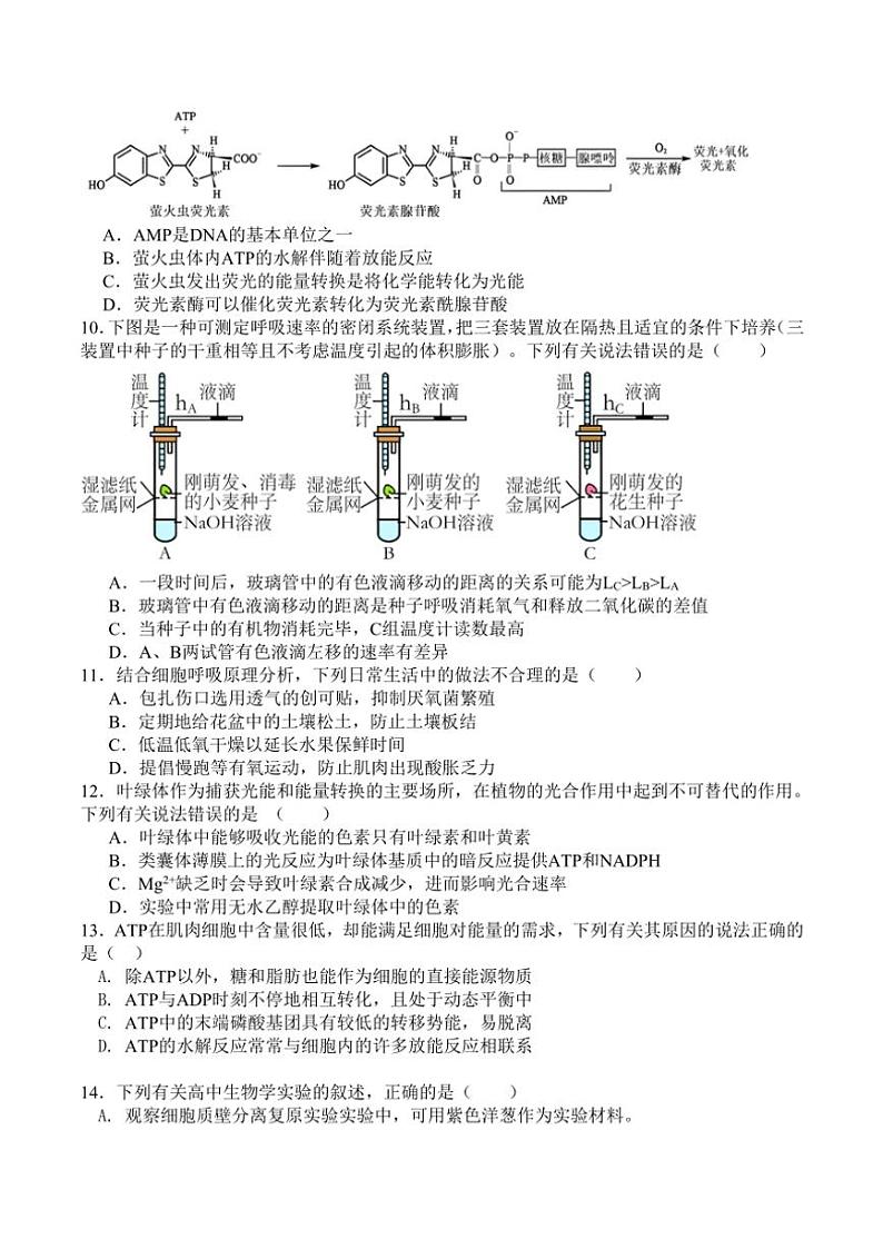 2024～2025学年吉林省通化市辉南县第六中学高一(上)第四次考试生物试卷(含答案)第3页