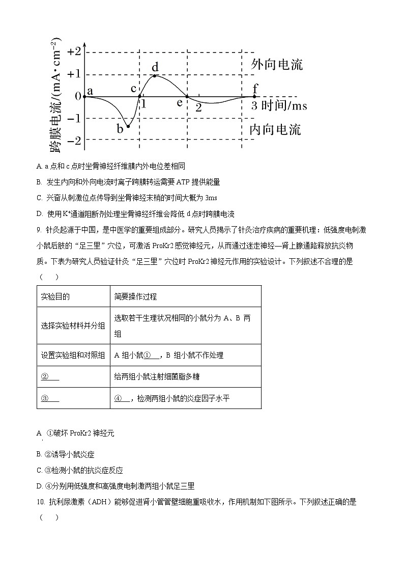 福建省四校联盟2024-2025学年高二上学期11月期中联考生物试题  Word版无答案第3页