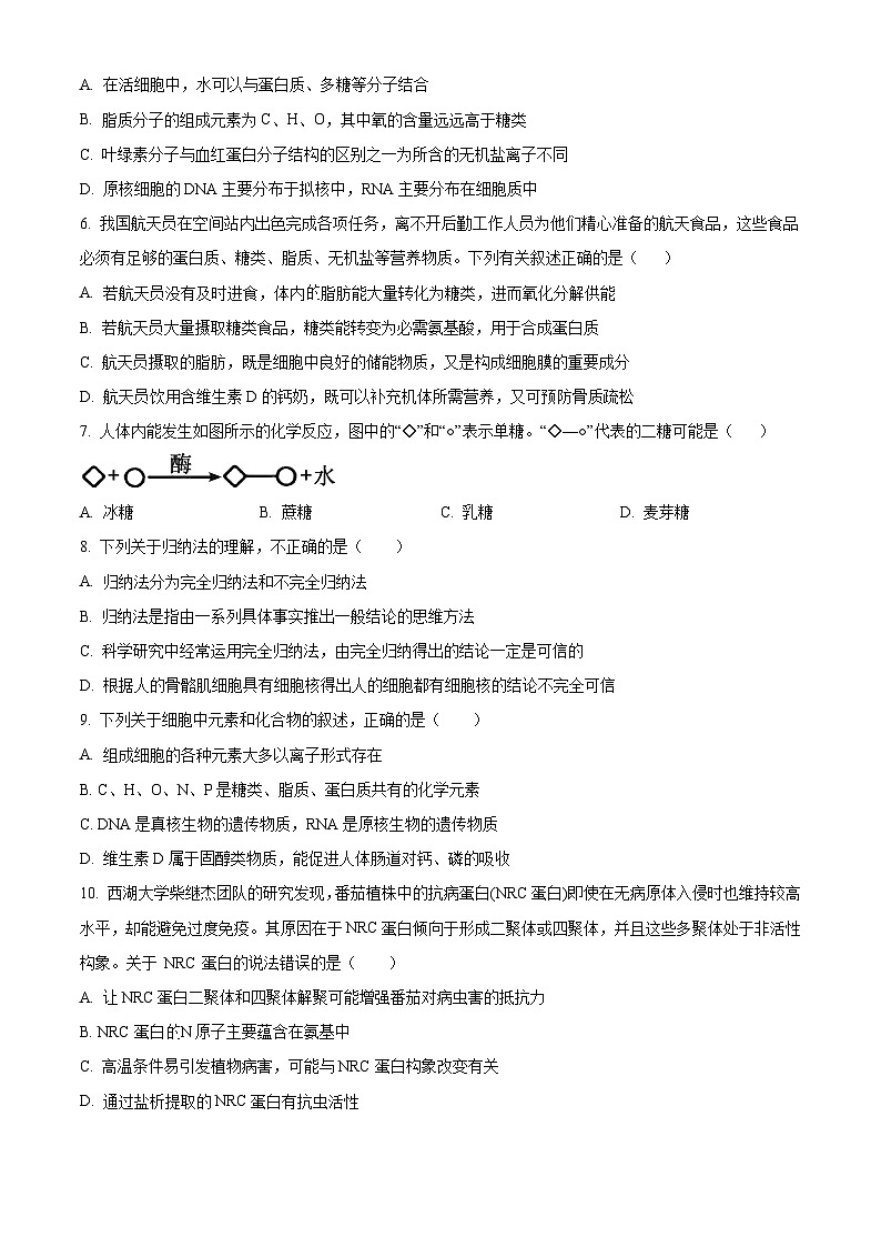 广东省茂名市电白区2024-2025学年高一上学期11月期中考试生物试题  Word版无答案第2页