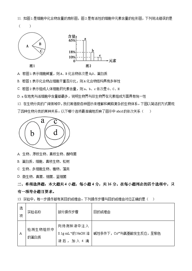 广东省茂名市电白区2024-2025学年高一上学期11月期中考试生物试题  Word版无答案第3页