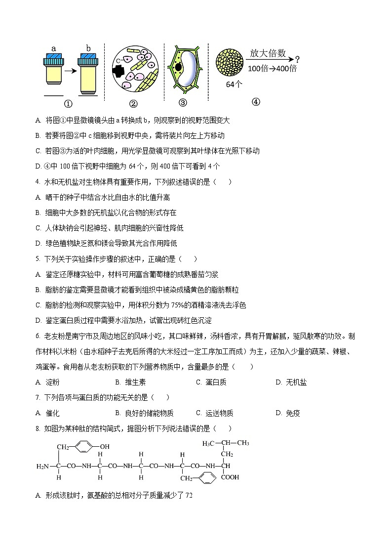 广西壮族自治区玉林市2024-2025学年高一上学期11月期中生物试题  Word版无答案第2页