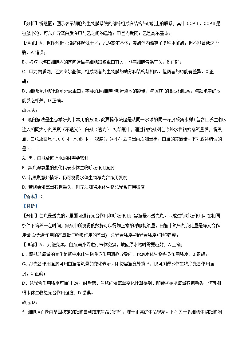 河南省华大联考2024-2025学年高三上学期11月期中生物试题  Word版含解析第3页