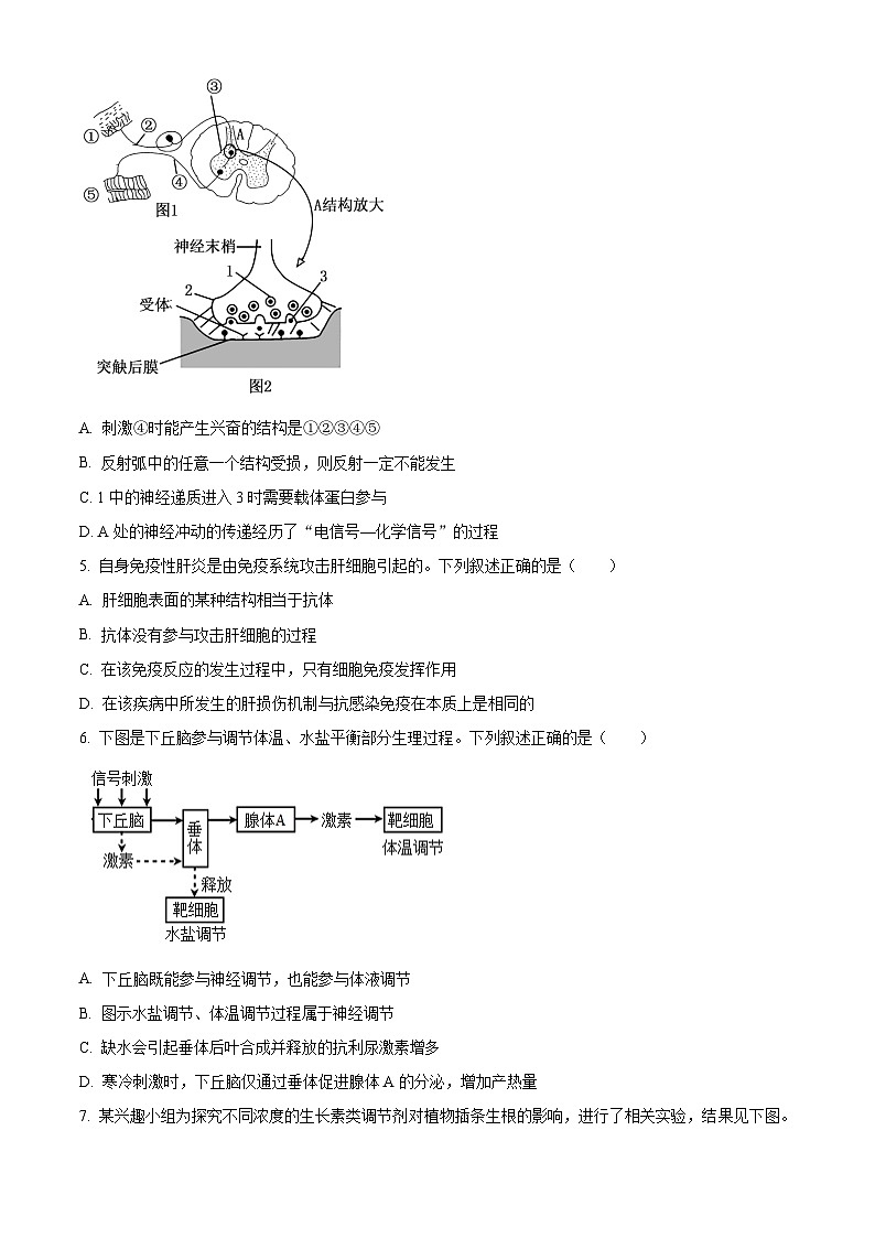 江苏省连云港市灌南县2024-2025学年高二上学期11月期中生物试题  Word版无答案第2页