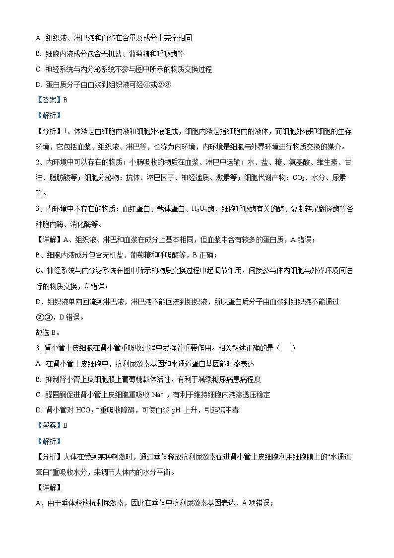 江苏省徐州市2024-2025学年高二上学期期中考试生物试题  Word版含解析第2页