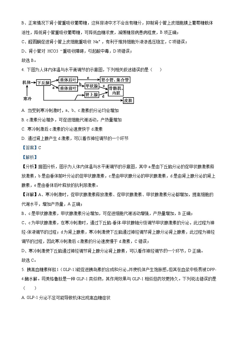 江苏省徐州市2024-2025学年高二上学期期中考试生物试题  Word版含解析第3页