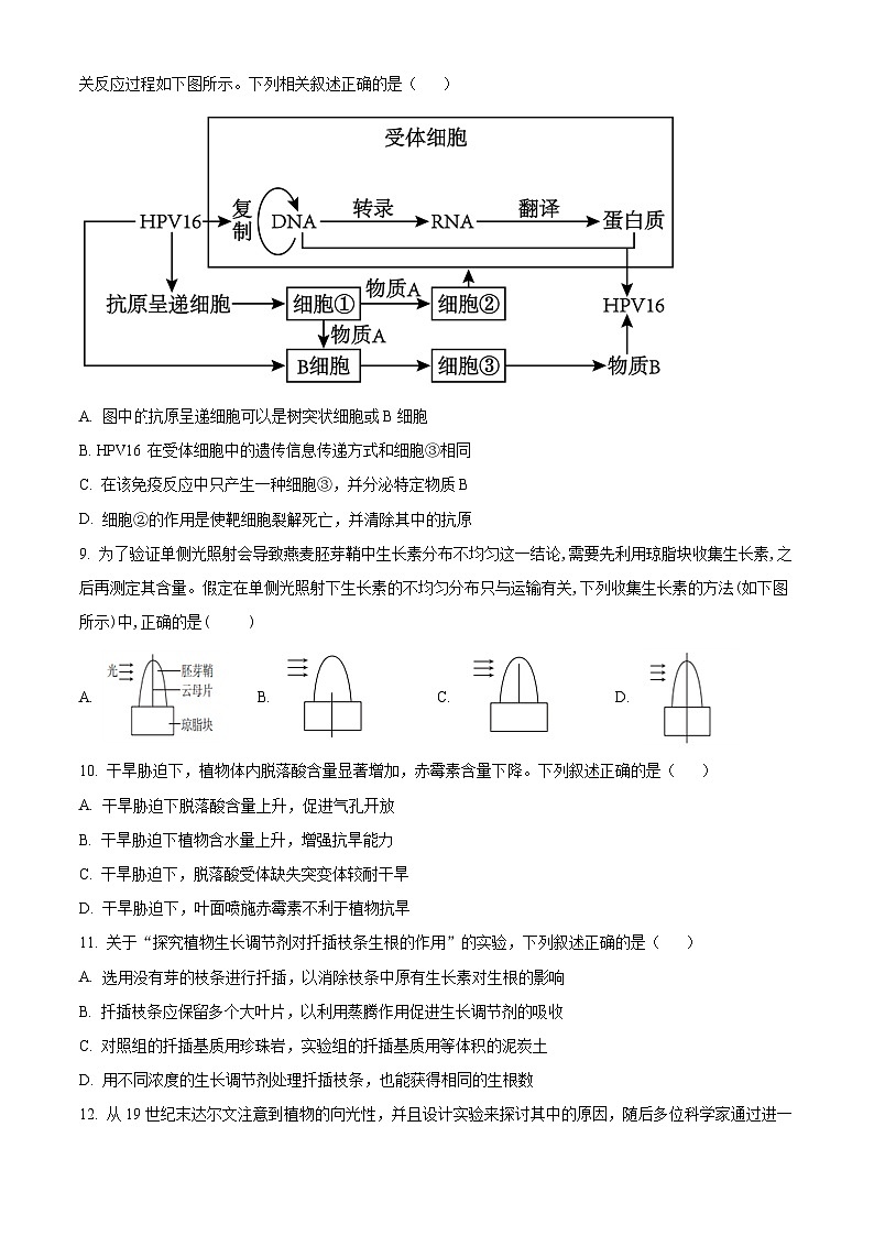 江苏省徐州市2024-2025学年高二上学期期中考试生物试题  Word版无答案第3页