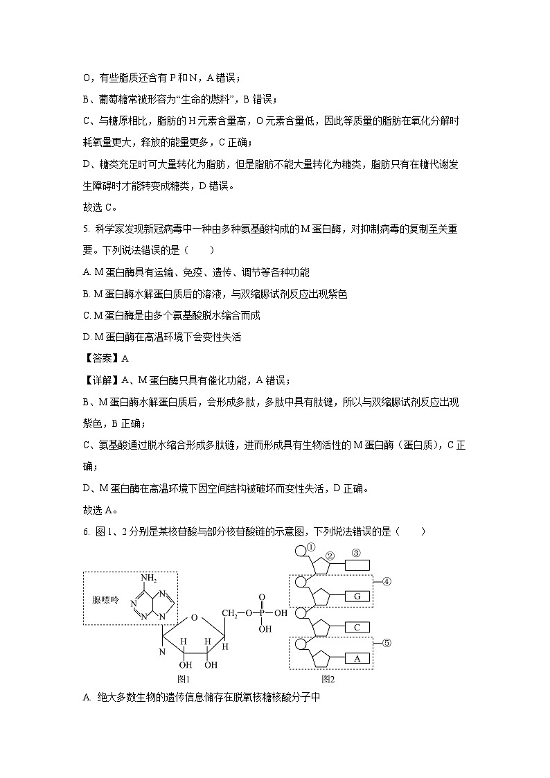 2024~2025学年甘肃省名校联盟高一(上)期中考试生物试卷(解析版)第3页