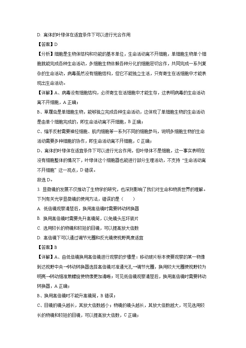 2024~2025学年河南省洛阳市高一(上)期中考试生物试卷(解析版)第2页