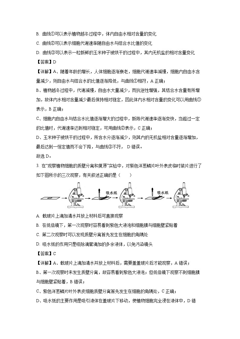 2024~2025学年江苏省宿迁市高一(上)11月期中生物试卷(解析版)第2页