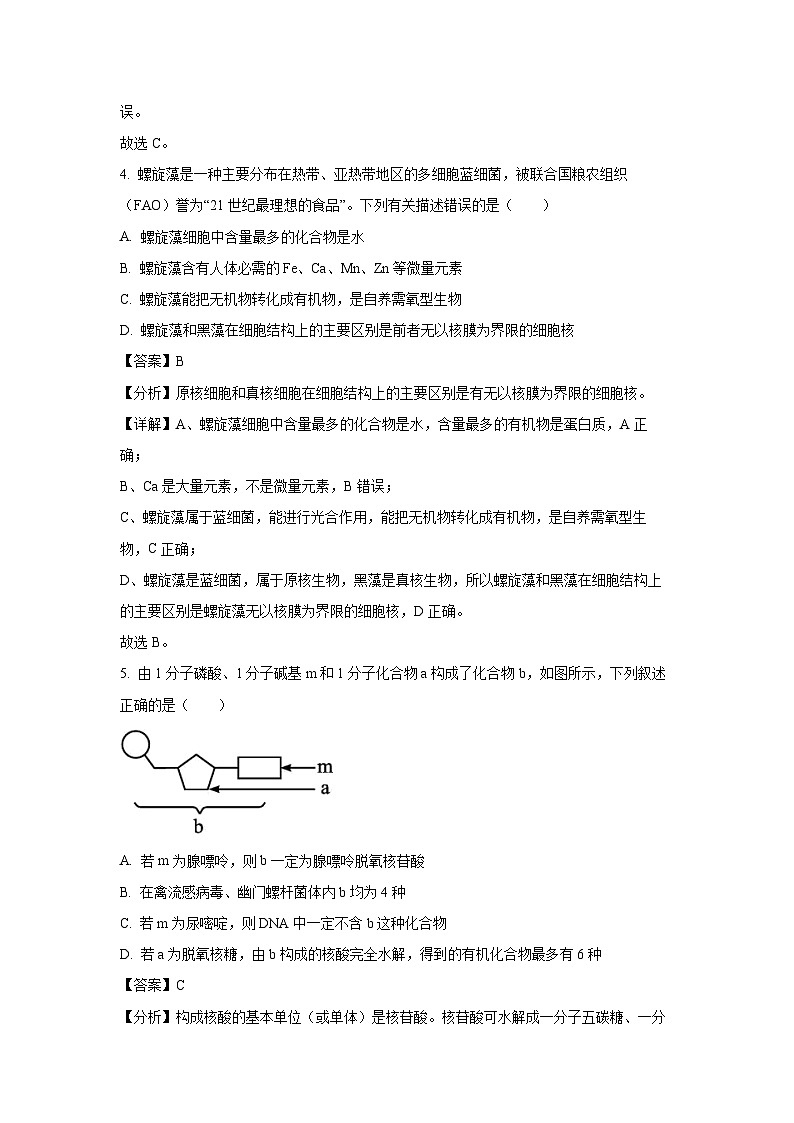 2024~2025学年江苏省宿迁市高一(上)11月期中生物试卷(解析版)第3页
