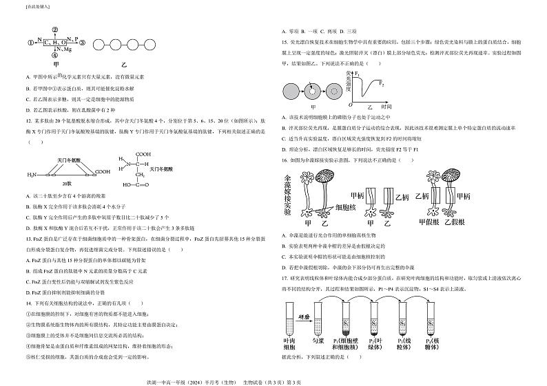 湖北省荆州市洪湖市第一中学2024-2025学年高一上学期11月半月考试生物试题第2页