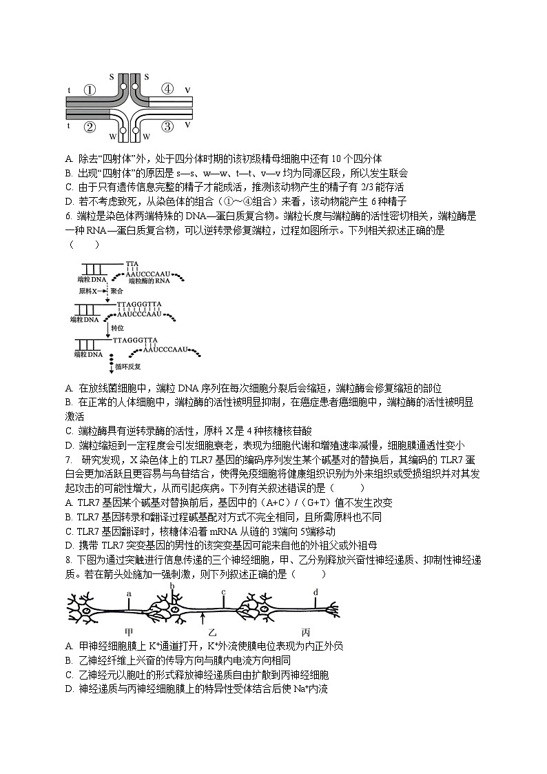 江苏省无锡市澄宜六校2024-2025学年高三上学期12月联考生物试卷第2页