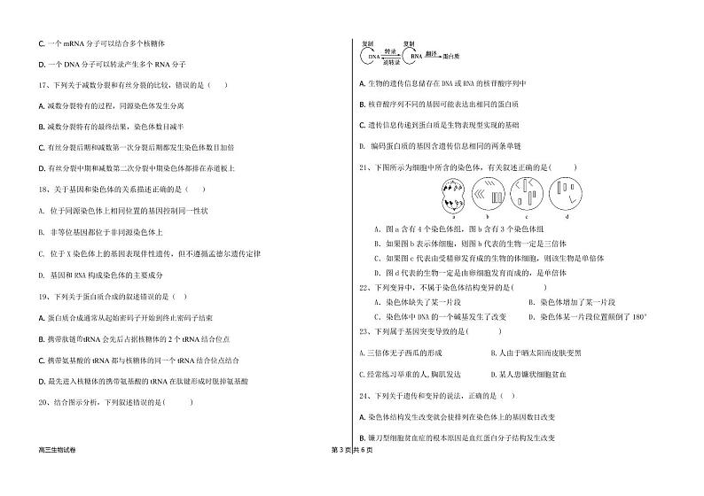 黑龙江省木斯市第八中学2025届高三上学期12月月考-生物试题+答案第3页