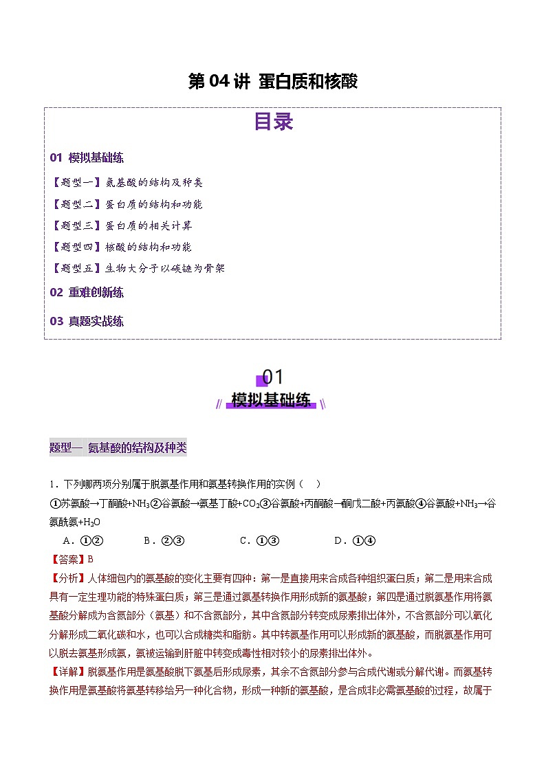 2025年新高考生物一轮复习第1单元细胞的概述及其分子组成第04讲蛋白质和核酸（练习）（教师版）第1页