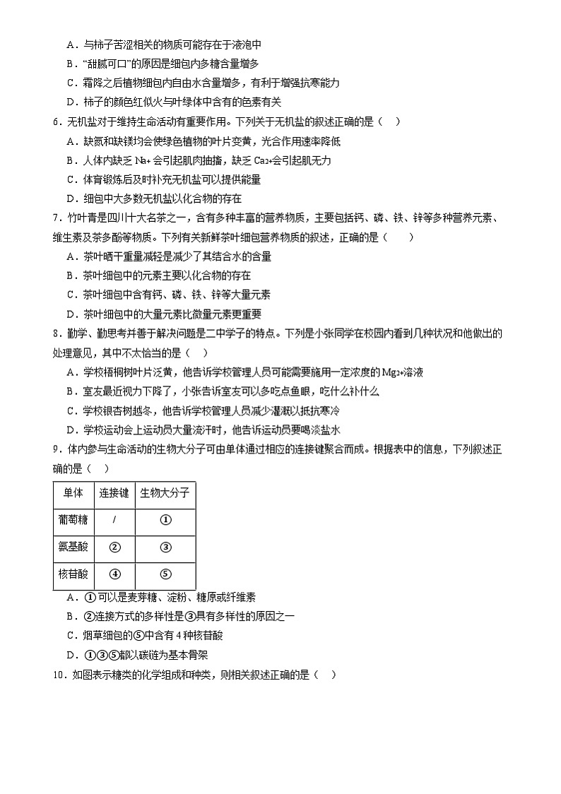 2025年新高考生物一轮复习第1单元细胞的概述及其组成分子（测试）（学生版）第2页