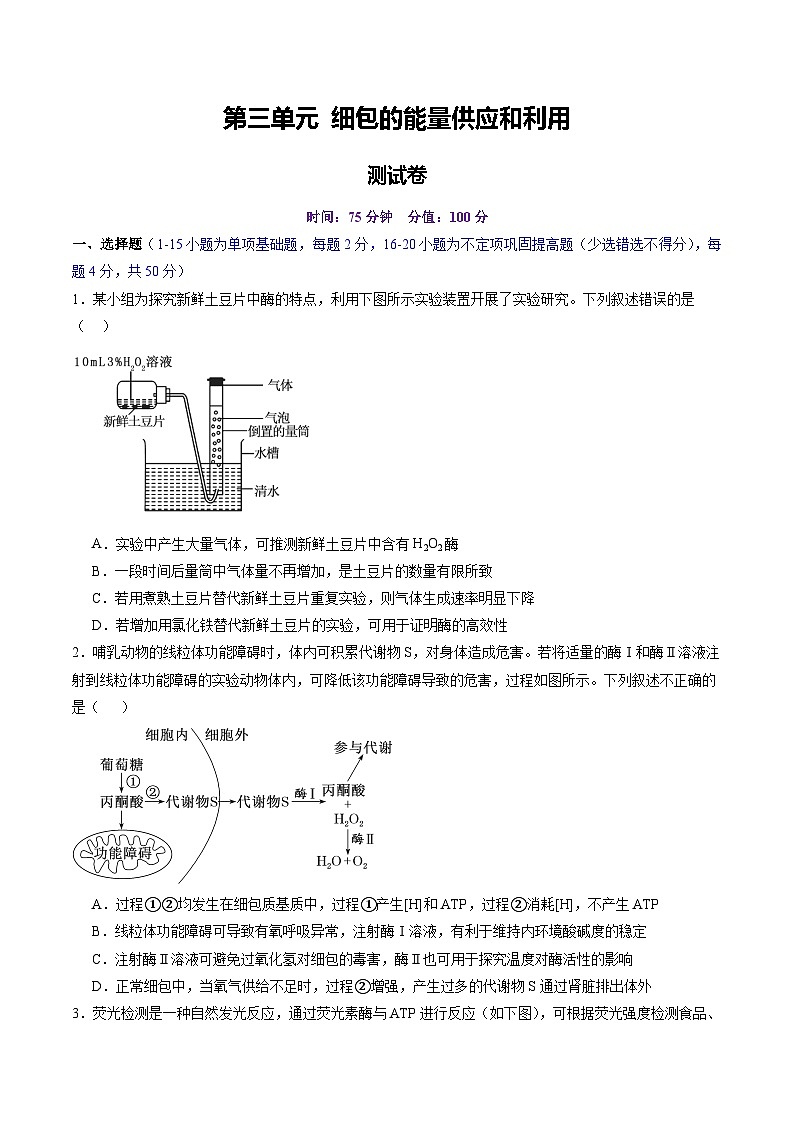 2025年新高考生物一轮复习第3单元细胞的能量供应和利用（测试）（学生版）第1页